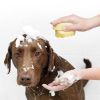 Bathroom Puppy Big Dog Bath Massage Gloves Brush Soft Safety Silicone