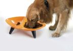 Melamine Couture Sculpture Double Food and Water Dog Bowl